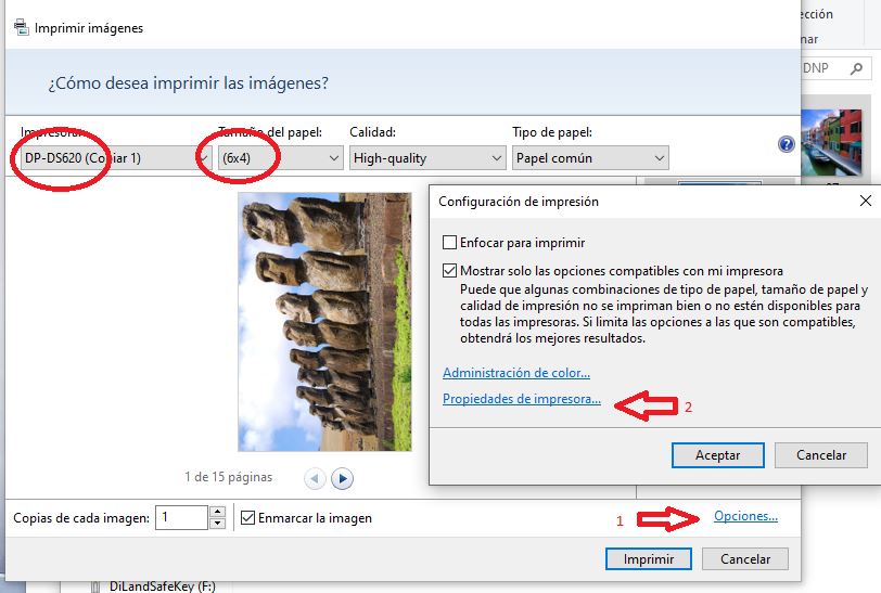 Dnp Ds620 - Imprimir 2-7X10Cm En 1-10X15Cm |