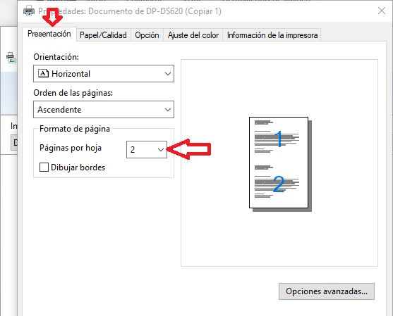 Dnp Ds620 - Imprimir 2-7X10Cm En 1-10X15Cm |