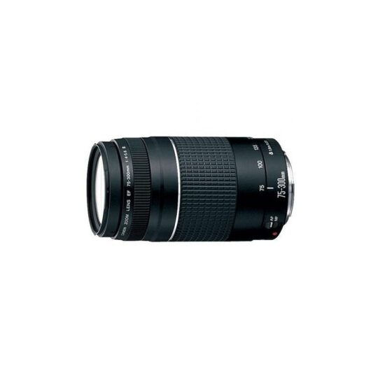 Canon Objetivo Ef 75 300mm F 4 5 6 Iii Ap Photo Industries Canon Objetivo Ef 75 300mm F 4 5 6 Iii Ap Photo Industries