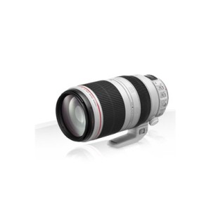 Canon Objetivo EF 100-400mm f/4.5-5.6L IS II USM