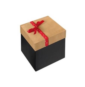 AP Caja Regalo 11x11x10 cm Modelo Red Box