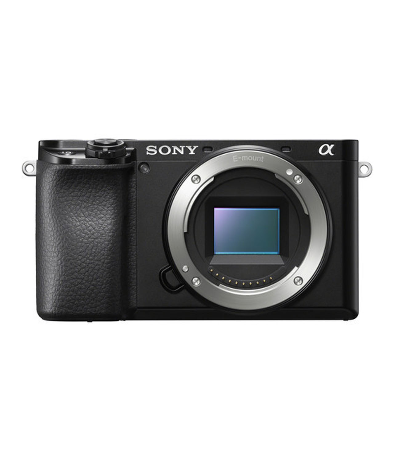 Sony Alpha 6100 Camera Review: Sony A6100 (The Little Sony Camera