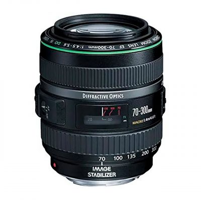 Canon Objetivo EF 70-300mm DO IS USM(OTH)