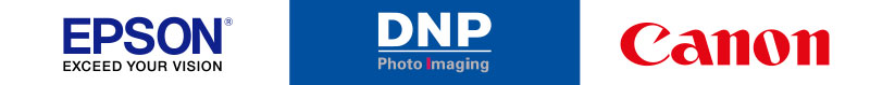 Ap Photo En Photo Forum Fest  |