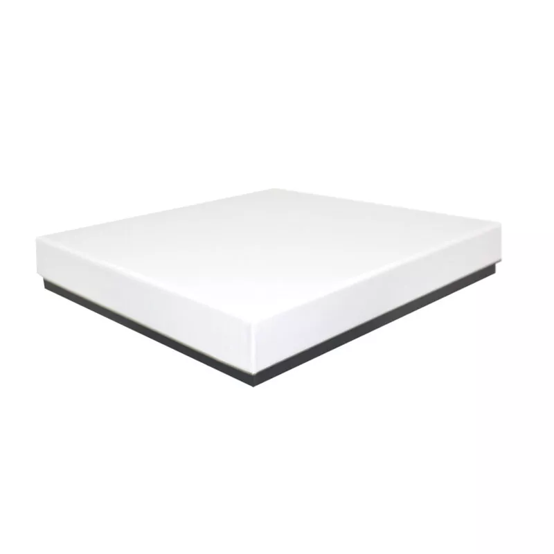 CRI230038
